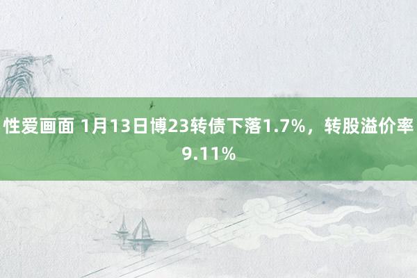 性爱画面 1月13日博23转债下落1.7%，转股溢价率9.11%