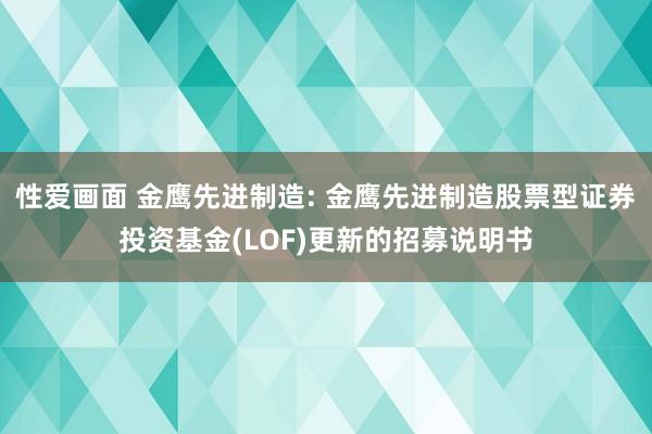 性爱画面 金鹰先进制造: 金鹰先进制造股票型证券投资基金(LOF)更新的招募说明书